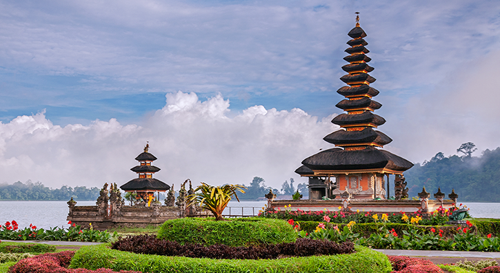 Indonesia online visa application
