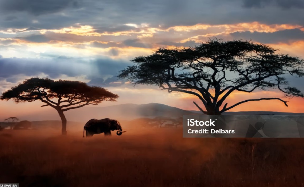 Tanzania online visa application
